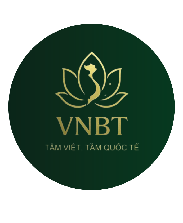 Vnbt-holdings Website